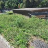 zp-litija