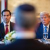 Marco Rubio, Donald Trump