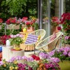 2025_Geraniums_5000_Joyful_Outdoor_Living_06 (1).jpg