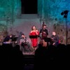koncert žička.jpg
