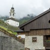 sauris