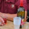 20-cvickov-vecer-na-raki