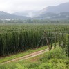 ekolosko-kmetijstvo, kmetovanje, narava, prodaja, kmetija