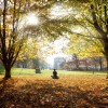 sonce, solarna joga