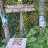 rajko-pozar, abstraktni-umetnik