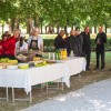beltinci, polozitev-venca, prekmurje