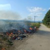 pge-krsko, drevo, odpadki