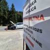 zvita-feltna