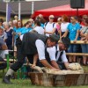 ovcarski-praznik, 46-ovcarski-praznik, smihel-nad-mozirjem