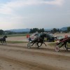 sentjernej, konj, kasastvo, 140-let