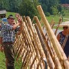 ovcarski-praznik, 46-ovcarski-praznik, smihel-nad-mozirjem