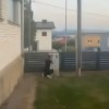 storklja.jpg