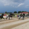 sentjernej, konj, kasastvo, 140-let