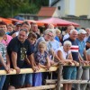 ovcarski-praznik, 46-ovcarski-praznik, smihel-nad-mozirjem