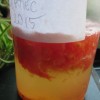 fermentacija semena paradižnik pomaga, da ohranimo kvalitetno kaljivost več let.JPG