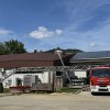 požar, dobrava, radlje ob dravi