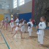 karate-kluba-brezice-soltec