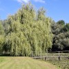 kolišče, veržej, družina-osterc