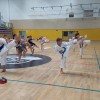 karate-kluba-brezice-soltec