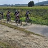 kolesarjenje, tour-de-lotmerk, ljutomer, sportna-zveza, mtb, prlekija