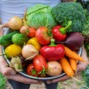 Biodinamika naslovna-sep21.jpg