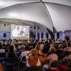 festival-evropskega-filma-brezice-2025