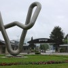 IMG_8234.jpg
