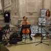 dnevi-poezije-in-vina, potrna, pavelhaus, alja-petric, karlo-hmeljak, radna-fabias
