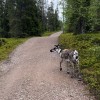 finska, potopis