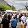 lendava, bogracfest
