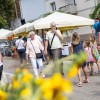 lendava, bogracfest