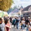 bogracfest-2025, bogracfest, bograc, lendava