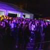 bogracfest, ivan-zak, aktual