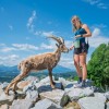 wild-park-panorama-resort