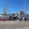 freedom flotila profimedia.jpg