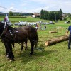 konjerejsko-drustvo-radohova-vas