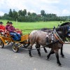 konjerejsko-drustvo-radohova-vas