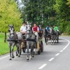 konjerejsko-drustvo-radohova-vas