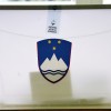 referendum, volitve, skrinjica