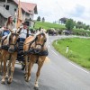 konjerejsko-drustvo-radohova-vas