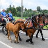 konjerejsko-drustvo-radohova-vas