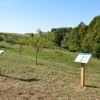 grad, beeaware, ucilnica-na-prostem, oprasevalci