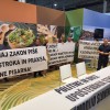 agra, prasicereja, protest, kastracija-pujskov