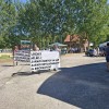 agra, prasicereja, protest, kastracija-pujskov