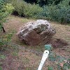 d35_skala sg.jpg