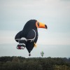sobota-balonfest-2025, balon, baloni