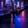 night-view-3615087_1280.jpg