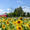 LJUBLJANA-Foto Gregor Kukovica.jpg
