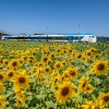 IVANČNA GORICA-Foto Gašper StoparOrig (1).jpg