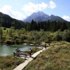 narava zelenci kranjska gora.JPG